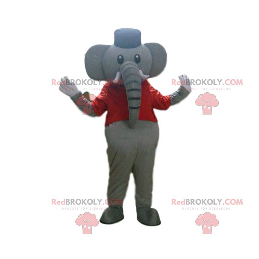 Grå elefant maskot, cirkusdragt, cirkusdyr - Redbrokoly.com