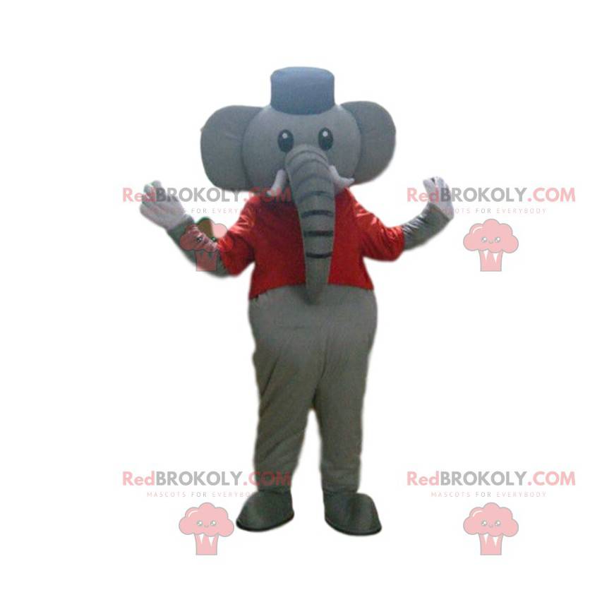 Mascote elefante cinzento, fantasia de circo, animal de circo -