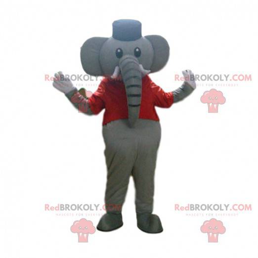 Mascotte d'éléphant gris, costume de cirque, animal de cirque -