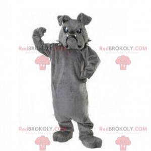 Bulldog mascot, dog costume, doggie costume - Redbrokoly.com