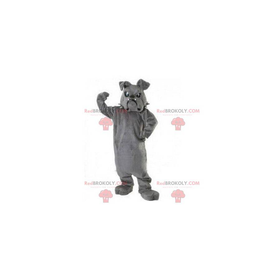 Bulldog mascot, dog costume, doggie costume - Redbrokoly.com Bulldog mascot, dog costume, doggie costume - Redbrokoly.com