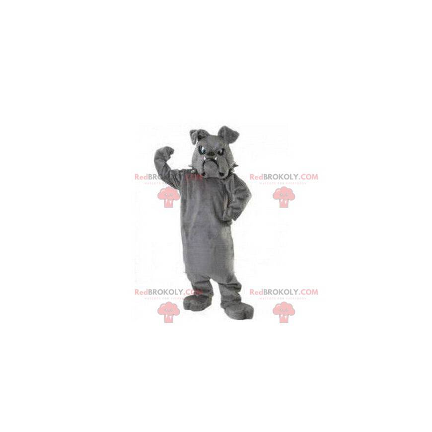 Bulldog mascot, dog costume, doggie costume - Redbrokoly.com