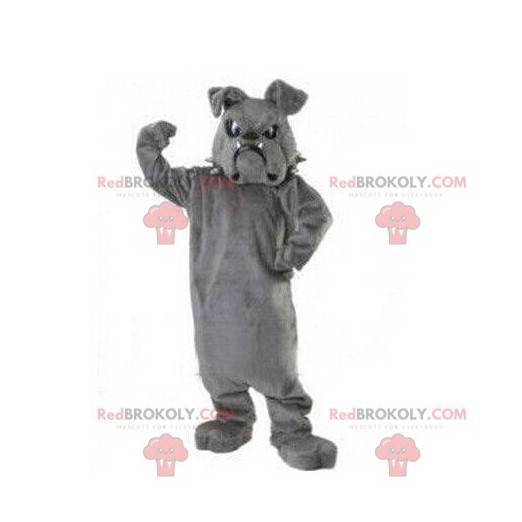Bulldog maskot, hunddräkt, doggie kostym - Redbrokoly.com