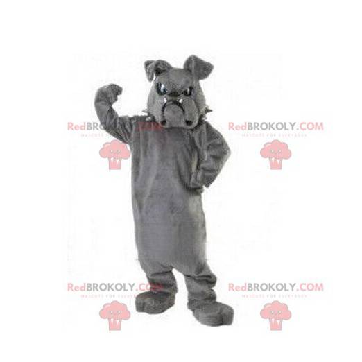 Mascota bulldog, disfraz de perro, disfraz de perrito -