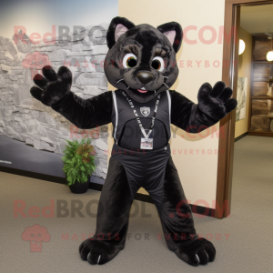 Czarny Bobcat w kostiumie...