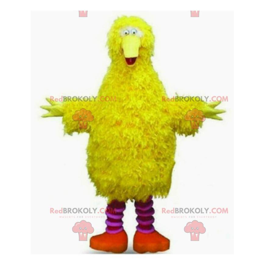 Żółty ptak maskotka, cały włochaty, gigantyczny kostium ptaka -