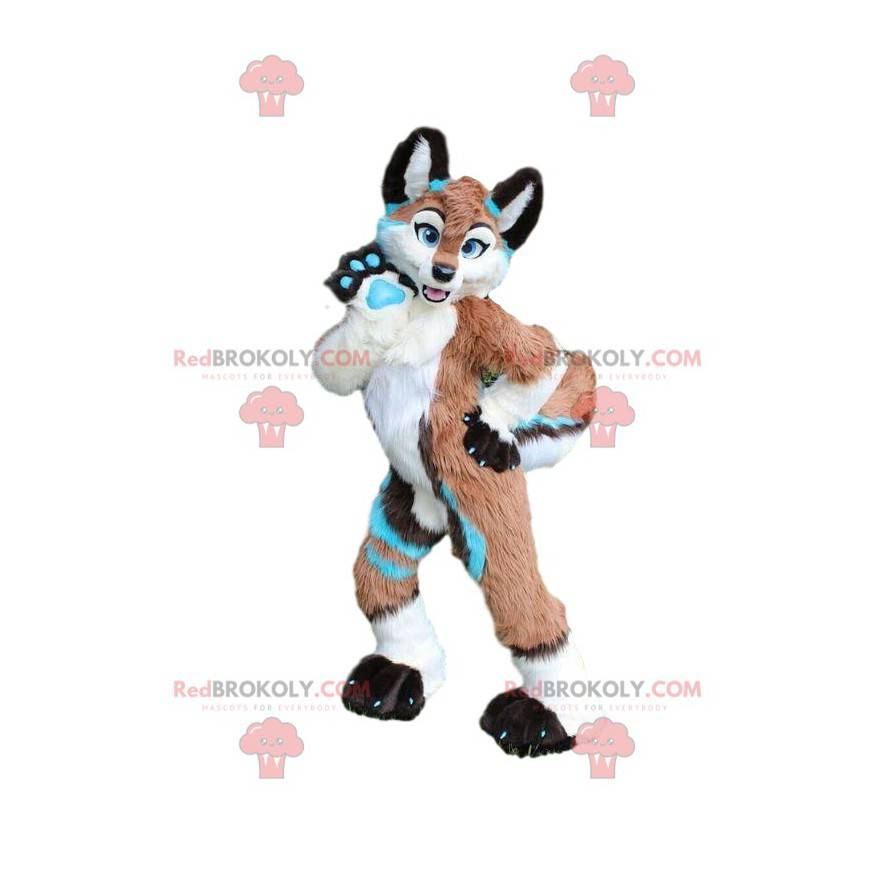 Maskot Fox s barevným kabátem, kostýmem psa, husky - Maskot Fox s barevným kabátem, kostýmem psa, husky -