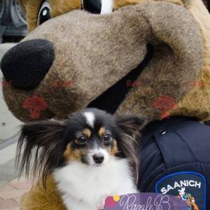 Brown dog mascot dressed as a policeman - Redbrokoly.com