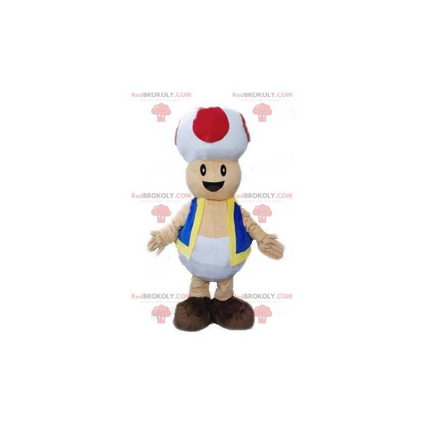 Mascot Toad, cogumelo do videogame Mario, Super Mario - Mascot Toad, cogumelo do videogame Mario, Super Mario -