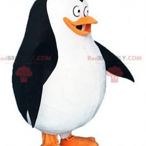 Penguin mascot from the film The penguins of Madagascar -