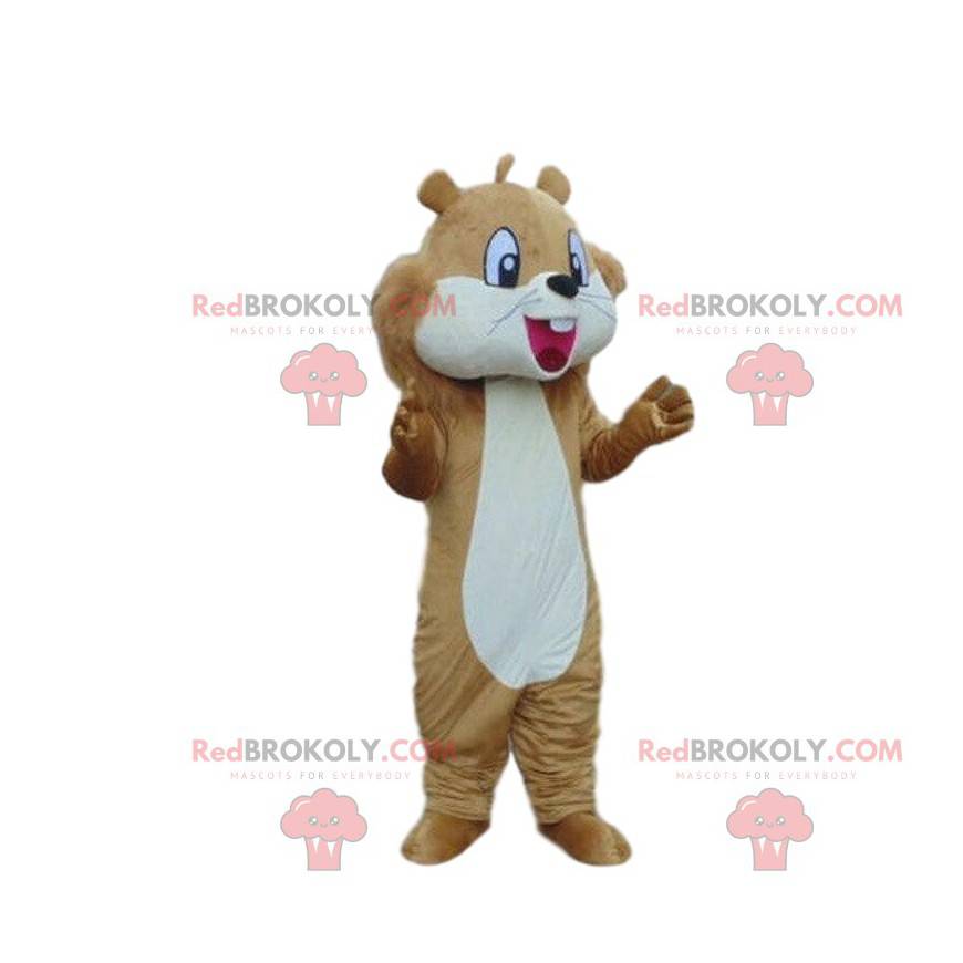 Brown and white squirrel mascot, forest costume - Redbrokoly.com