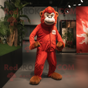 Red Monkey maskot kostyme...