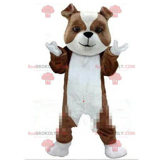 Mascotte bruine en witte hond, rasechte hondenkostuum -