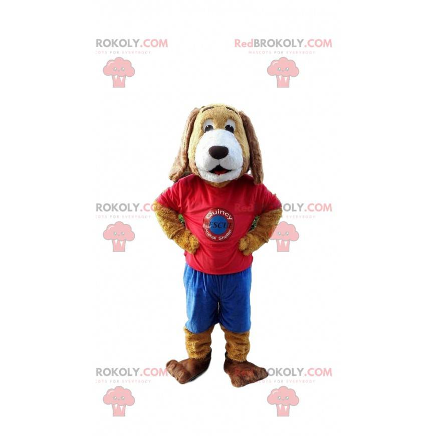 Pies maskotka ubrany w kolorowy strój, psi kostium -