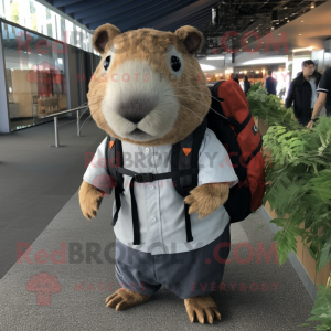  Capybara mascotte kostuum...