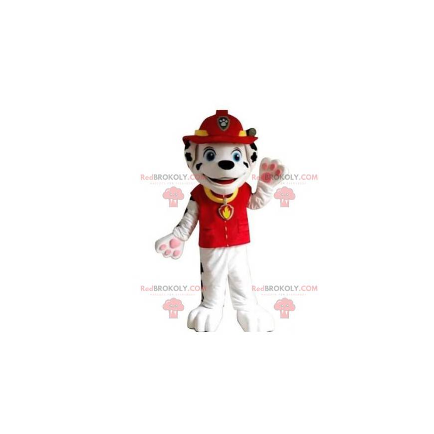 Dalmatisk maskot kledd som brannmann, brannmannskostyme - Dalmatisk maskot kledd som brannmann, brannmannskostyme -