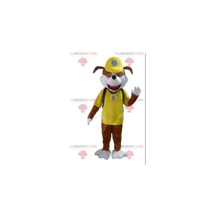 Brown dog mascot in yellow outfit, dressed dog costume -