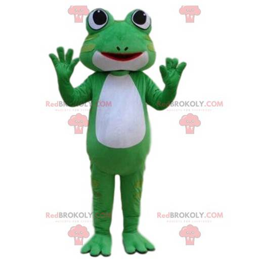 Groene en witte kikker mascotte, paddenkostuum - Redbrokoly.com