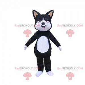 Svartvit hundmaskot, doggie-kostym - Redbrokoly.com