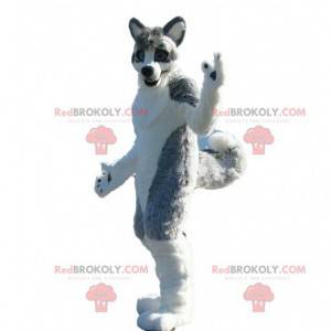 Mascote de cachorro Husky, fantasia de cachorro cinza, fantasia