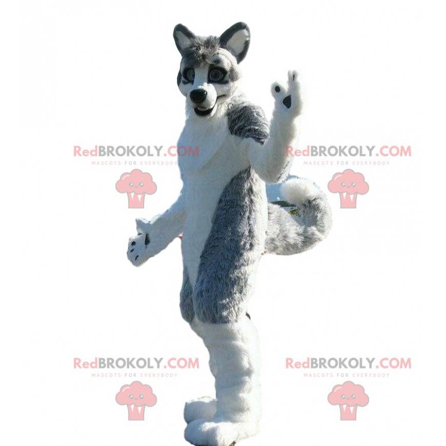 Husky dog mascot, gray dog costume, canine costume -