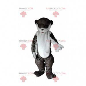 Mascotte lontra, costume leone marino, costume leone marino -