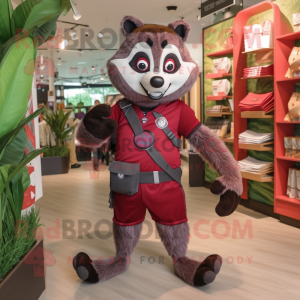 Maroon Raccoon mascotte...