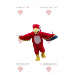 Mascotte pappagallo, costume pappagallo, uccello esotico -