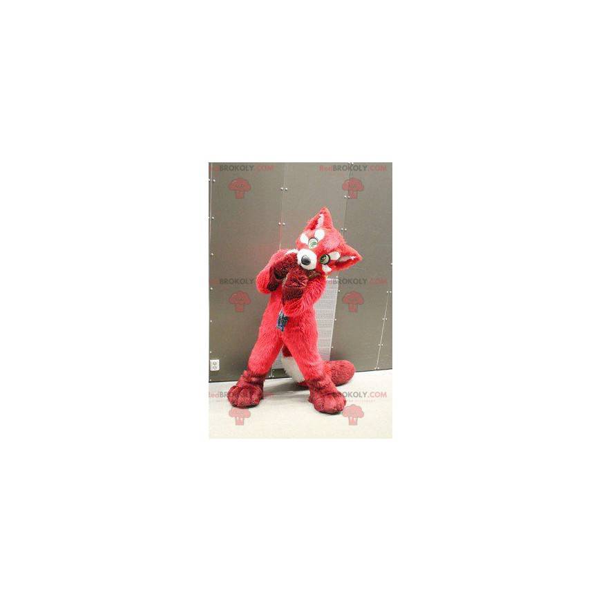 Mascotte de chien rouge de renard - Redbrokoly.com