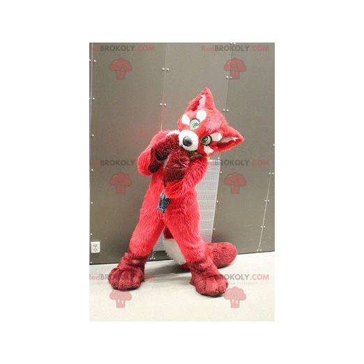 Mascotte de chien rouge de renard - Redbrokoly.com