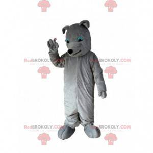 Gray dog mascot, dog costume, gray doggie - Redbrokoly.com