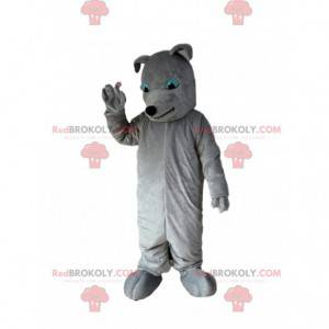 Mascotte de chien gris, costume de chien, toutou gris -