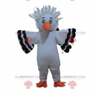 Mascote pelicano, fantasia de gaivota, gaivota - Redbrokoly.com