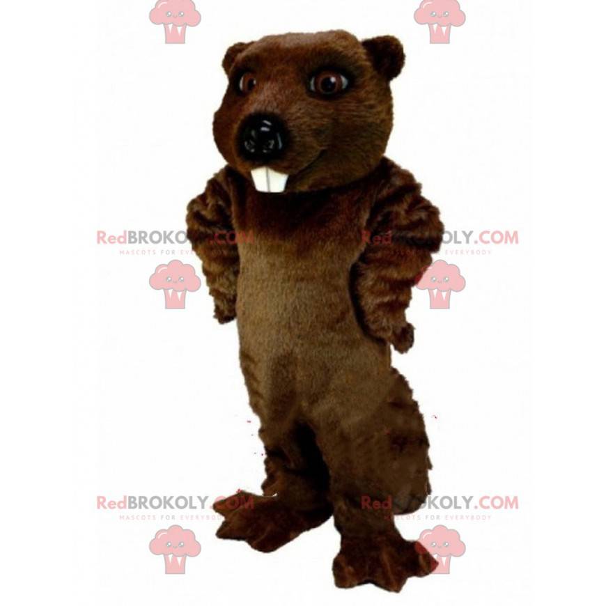 Mascote castor marrom, fantasia de roedor, castor gigante -