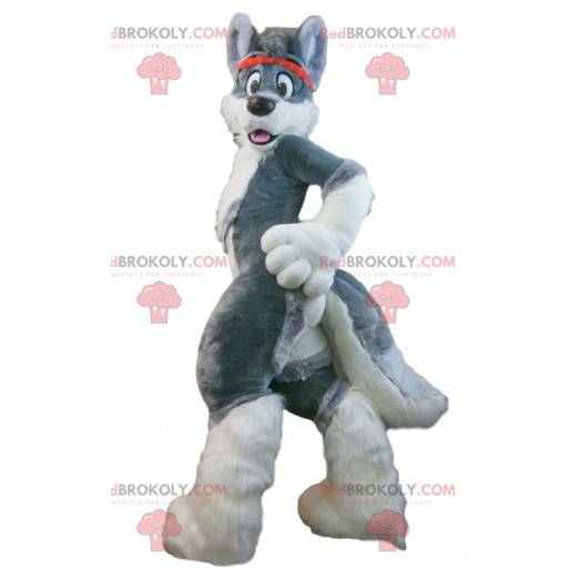 Mascotte de chien gris et blanc, costume de husky géant -