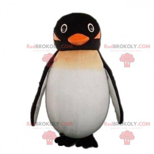 Mascote de pinguim, fantasia de pinguim, animal de bloco de