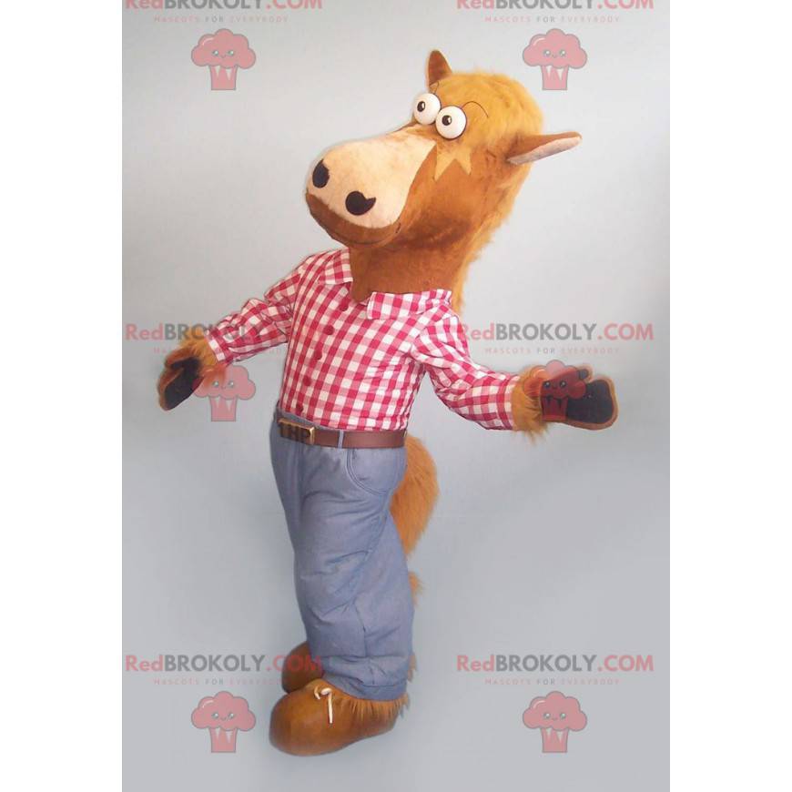 Mascote do cavalo marrom com uma camisa xadrez e jeans -