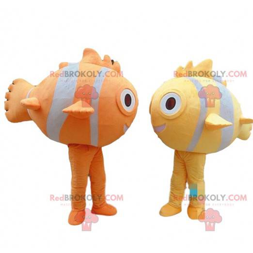Mascots of colorful fish, yellow fish, orange fish -