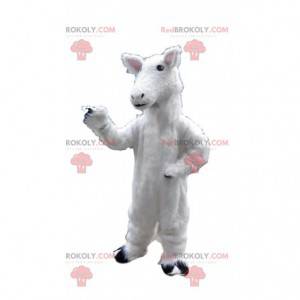 Maskot ovcí, kostým jehněčího, kostým bílého koně -
