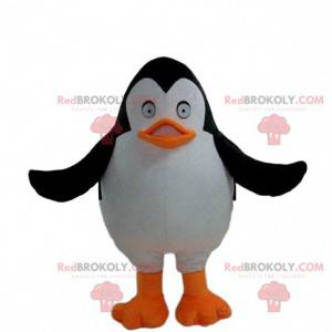 Penguin mascot from the film The penguins of Madagascar -