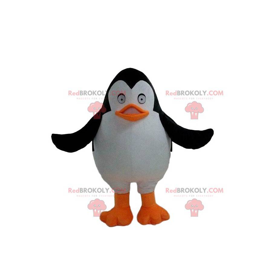 Mascote pinguim do filme Os pinguins de Madagascar -