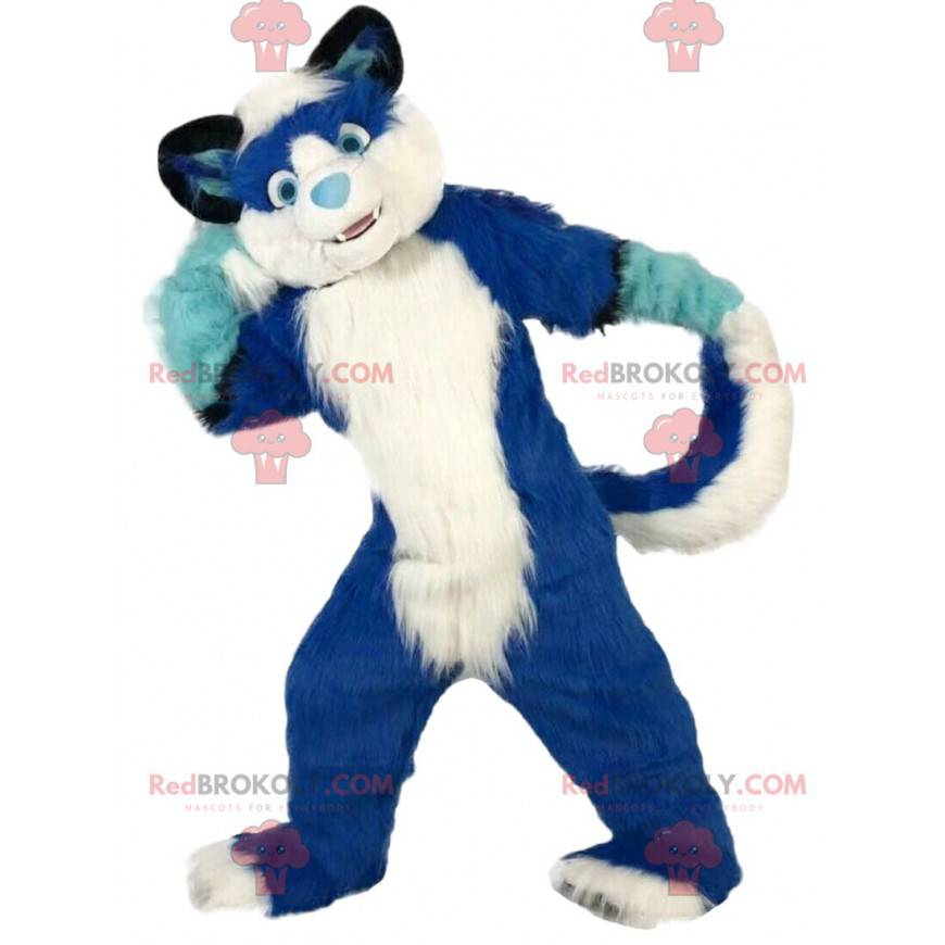 Modré a bílé psí maskot, chlupatý pes kostým - Redbrokoly.com Modré a bílé psí maskot, chlupatý pes kostým - Redbrokoly.com