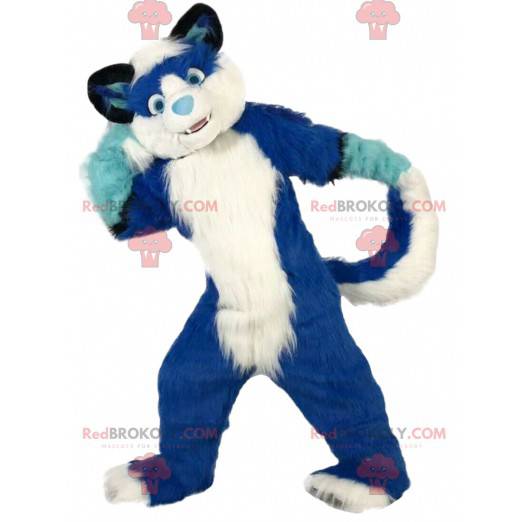 Blaues und weißes Hundemaskottchen, haariges Hundekostüm -