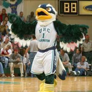 Eagle mascot green blue and white