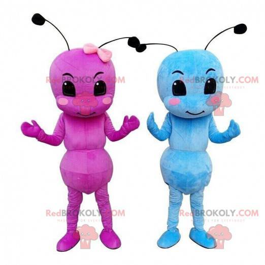 Mascots of ants, a pink and a blue, insect costumes -