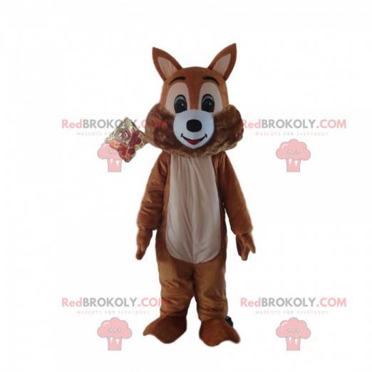 Brown squirrel mascot, forest costume, giant squirrel -