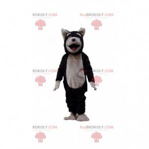 Mascotte de chien noir et gris, costume de loup, chien-loup -
