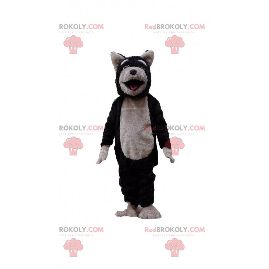 Mascotte de chien noir et gris, costume de loup, chien-loup -