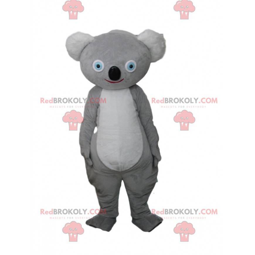 Mascota koala gris, traje australiano, animal australiano -