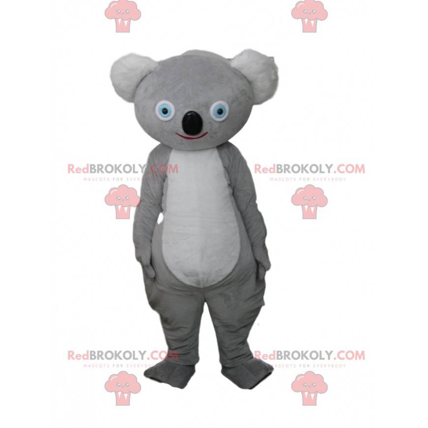 Šedý koala maskot, australský kostým, australské zvíře - Šedý koala maskot, australský kostým, australské zvíře -